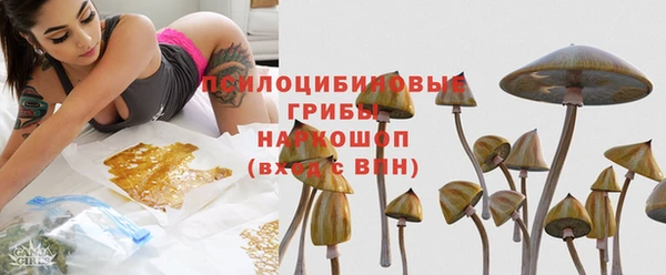 прущий лед Кукмор