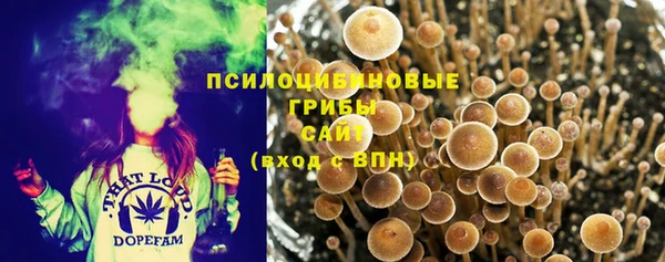 ПСИЛОЦИБИНОВЫЕ ГРИБЫ Кулебаки