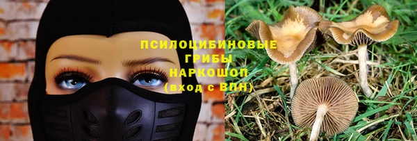 прущий лед Кукмор