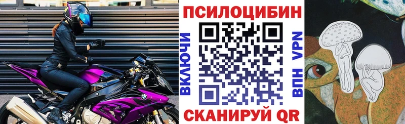 Купить закладки Нижняя Салда Галлюциногенные грибы GOLDEN TEACHER